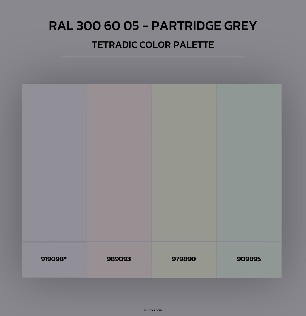 RAL 300 60 05 - Partridge Grey - Tetradic Color Palette