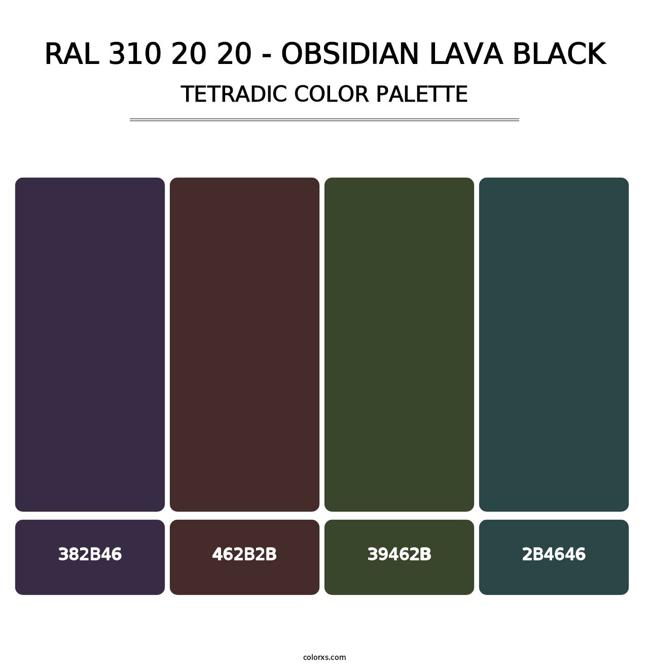 RAL 310 20 20 - Obsidian Lava Black - Tetradic Color Palette