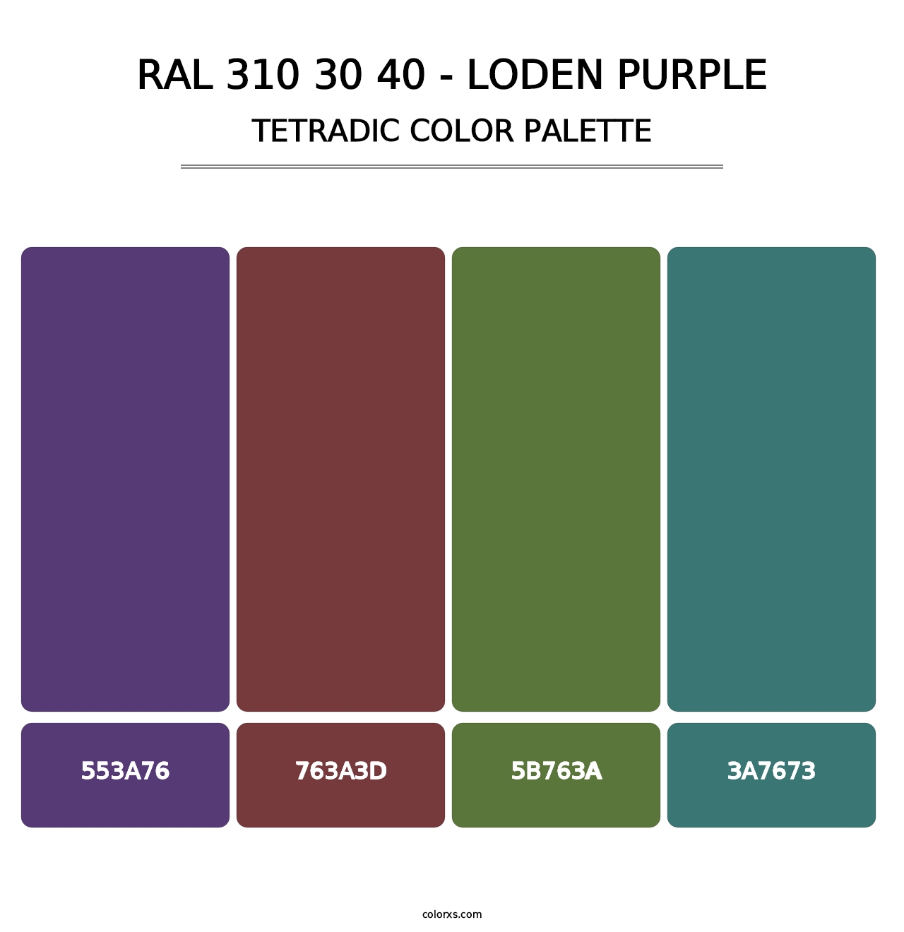 RAL 310 30 40 - Loden Purple - Tetradic Color Palette
