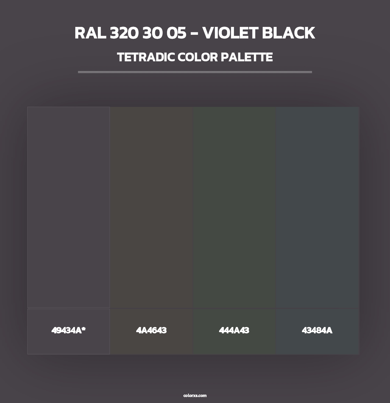 RAL 320 30 05 - Violet Black - Tetradic Color Palette