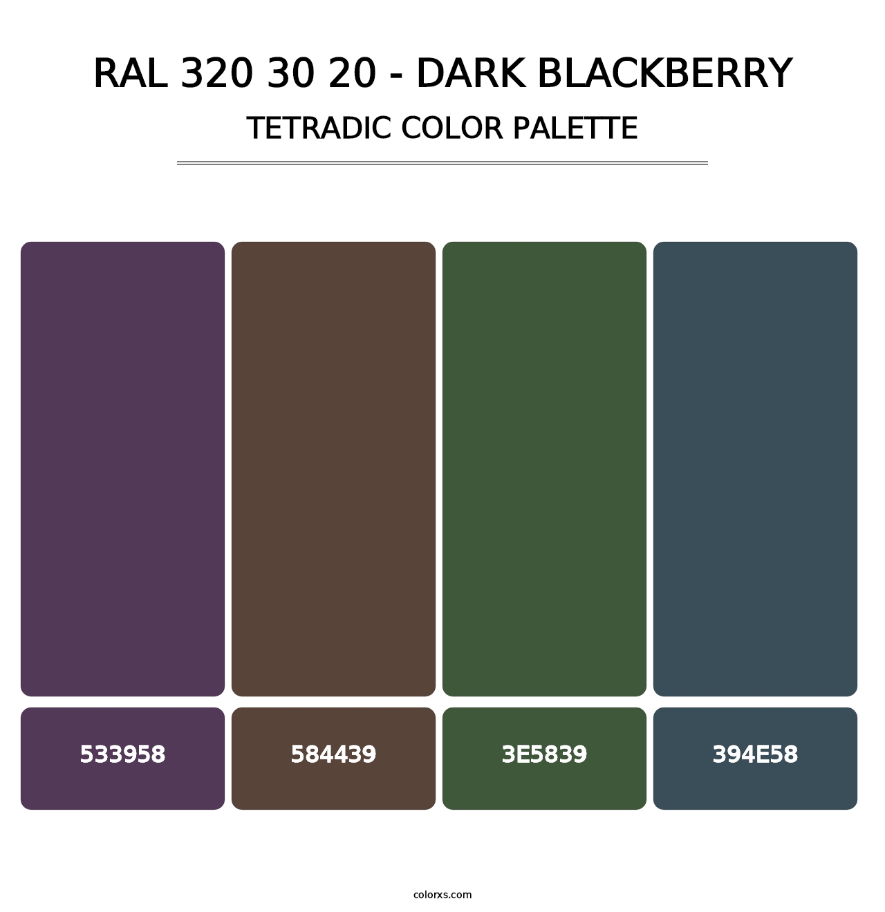 RAL 320 30 20 - Dark Blackberry - Tetradic Color Palette