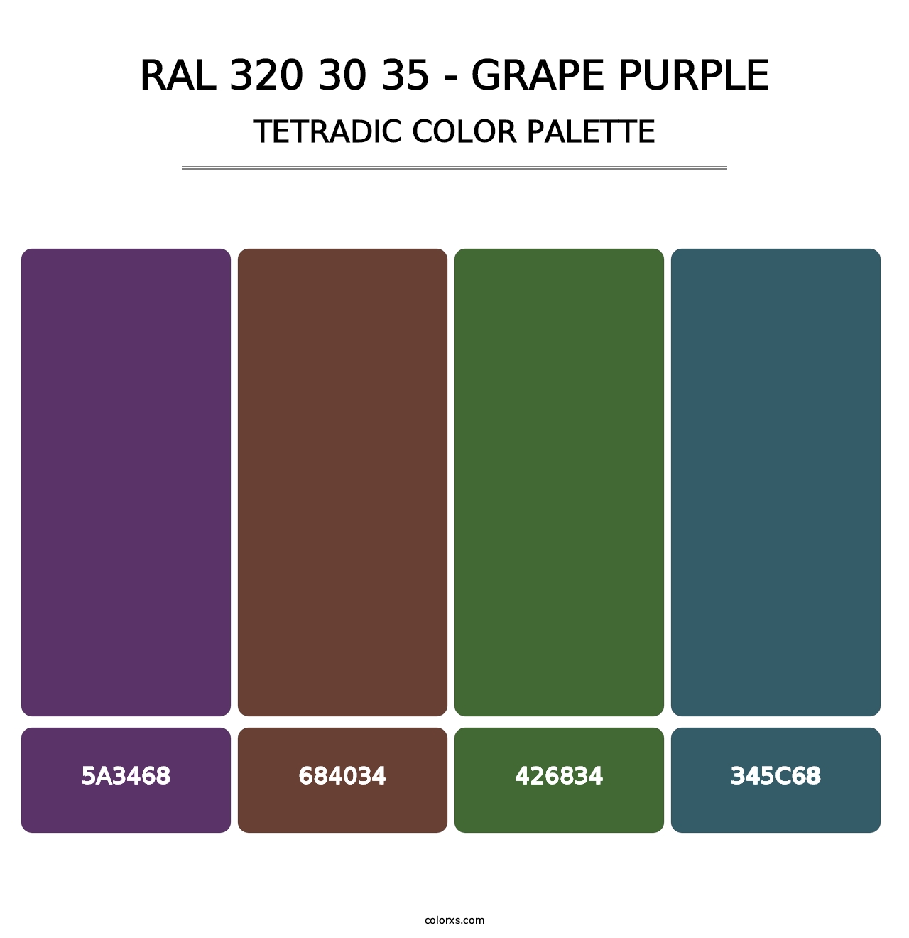 RAL 320 30 35 - Grape Purple - Tetradic Color Palette