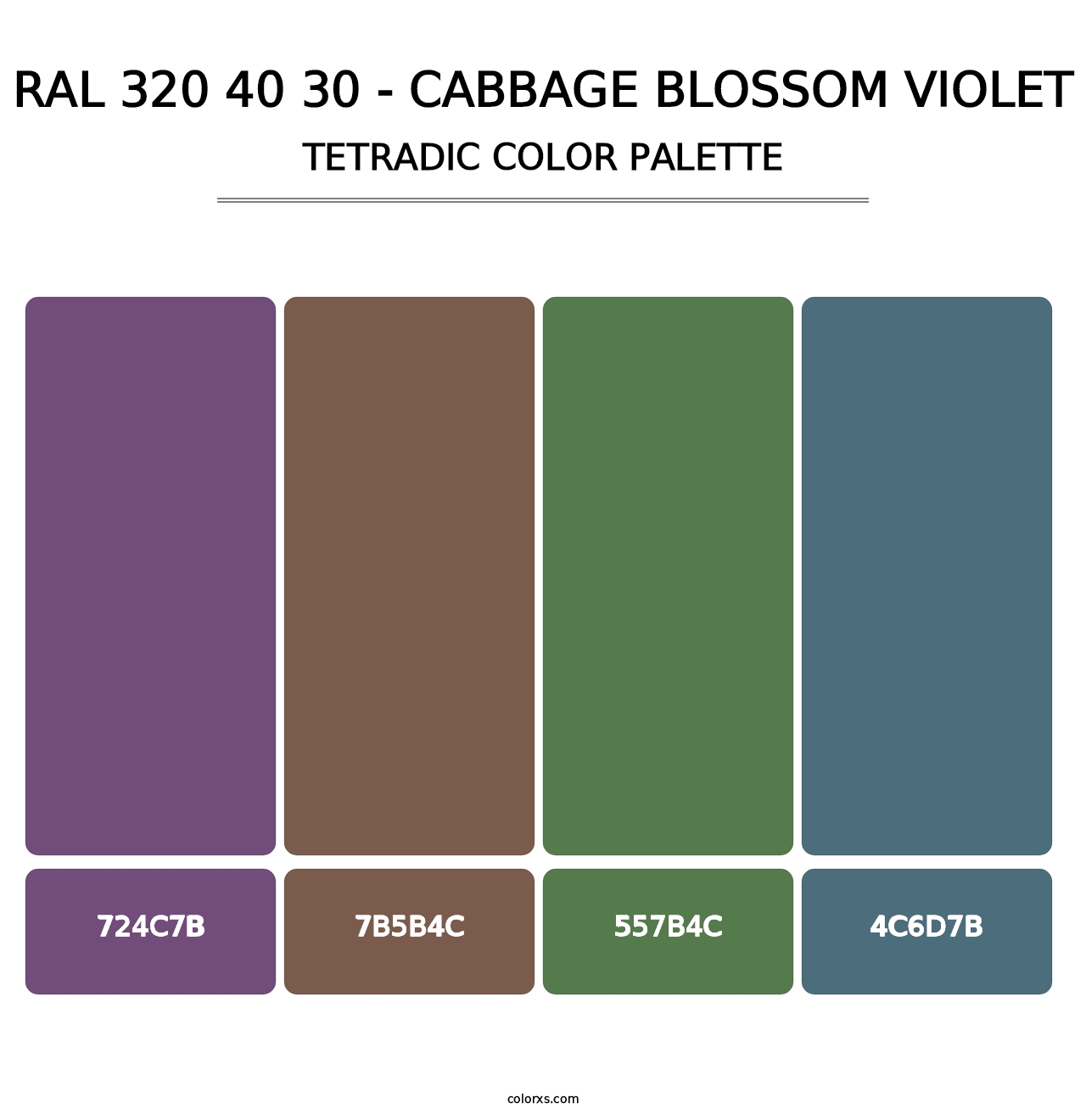 RAL 320 40 30 - Cabbage Blossom Violet - Tetradic Color Palette
