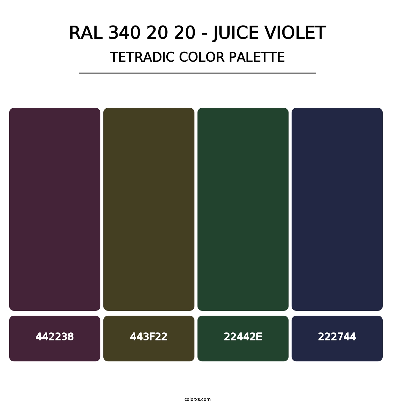 RAL 340 20 20 - Juice Violet - Tetradic Color Palette