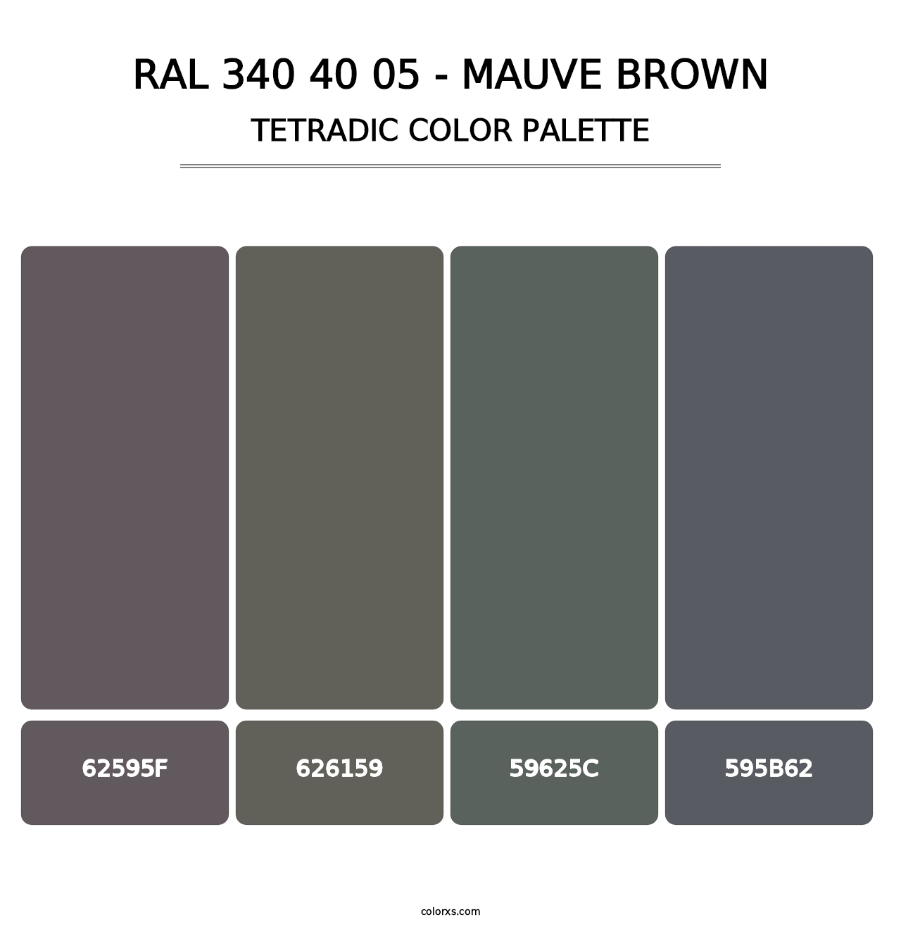 RAL 340 40 05 - Mauve Brown - Tetradic Color Palette