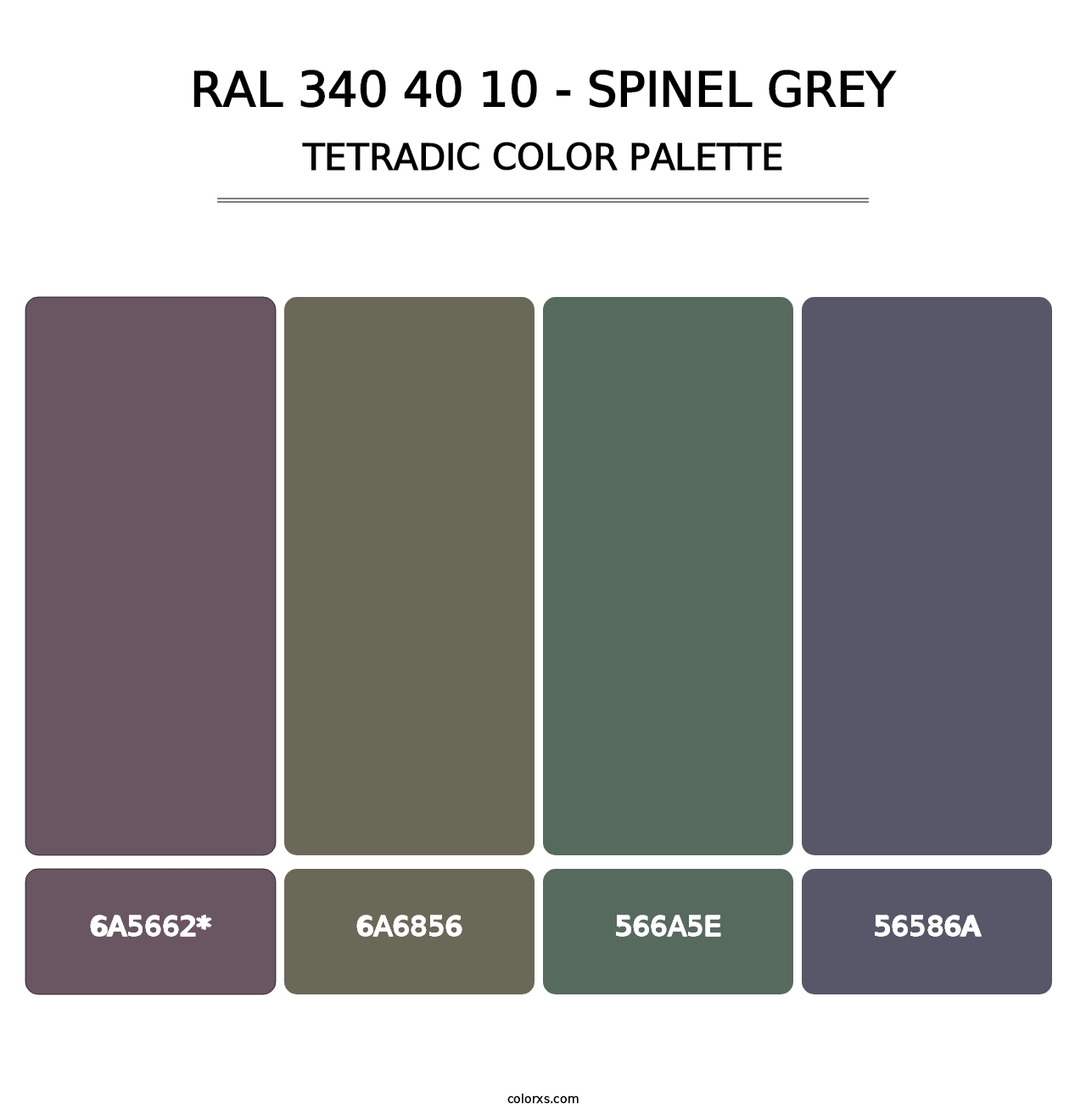 RAL 340 40 10 - Spinel Grey - Tetradic Color Palette