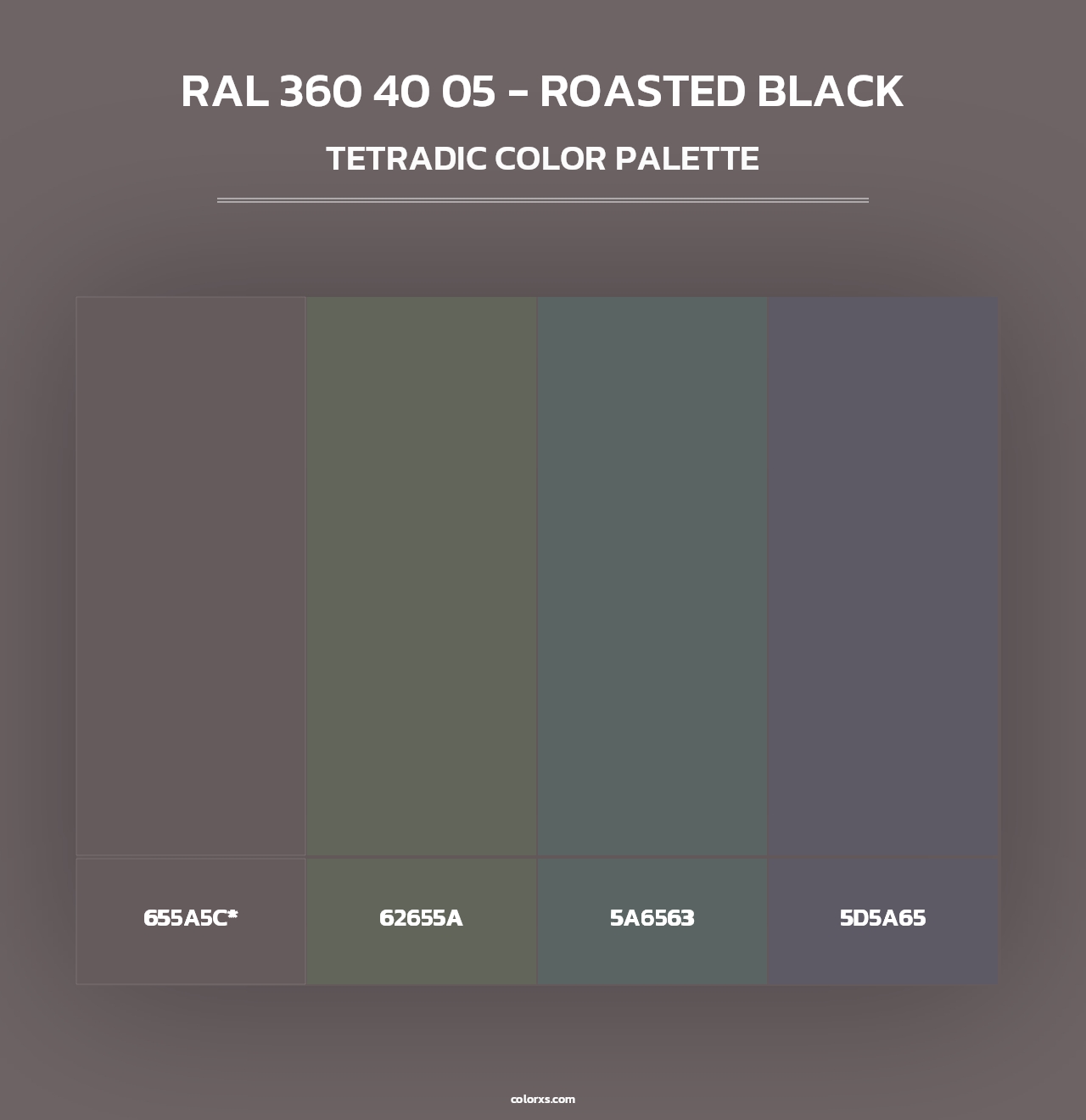 RAL 360 40 05 - Roasted Black - Tetradic Color Palette