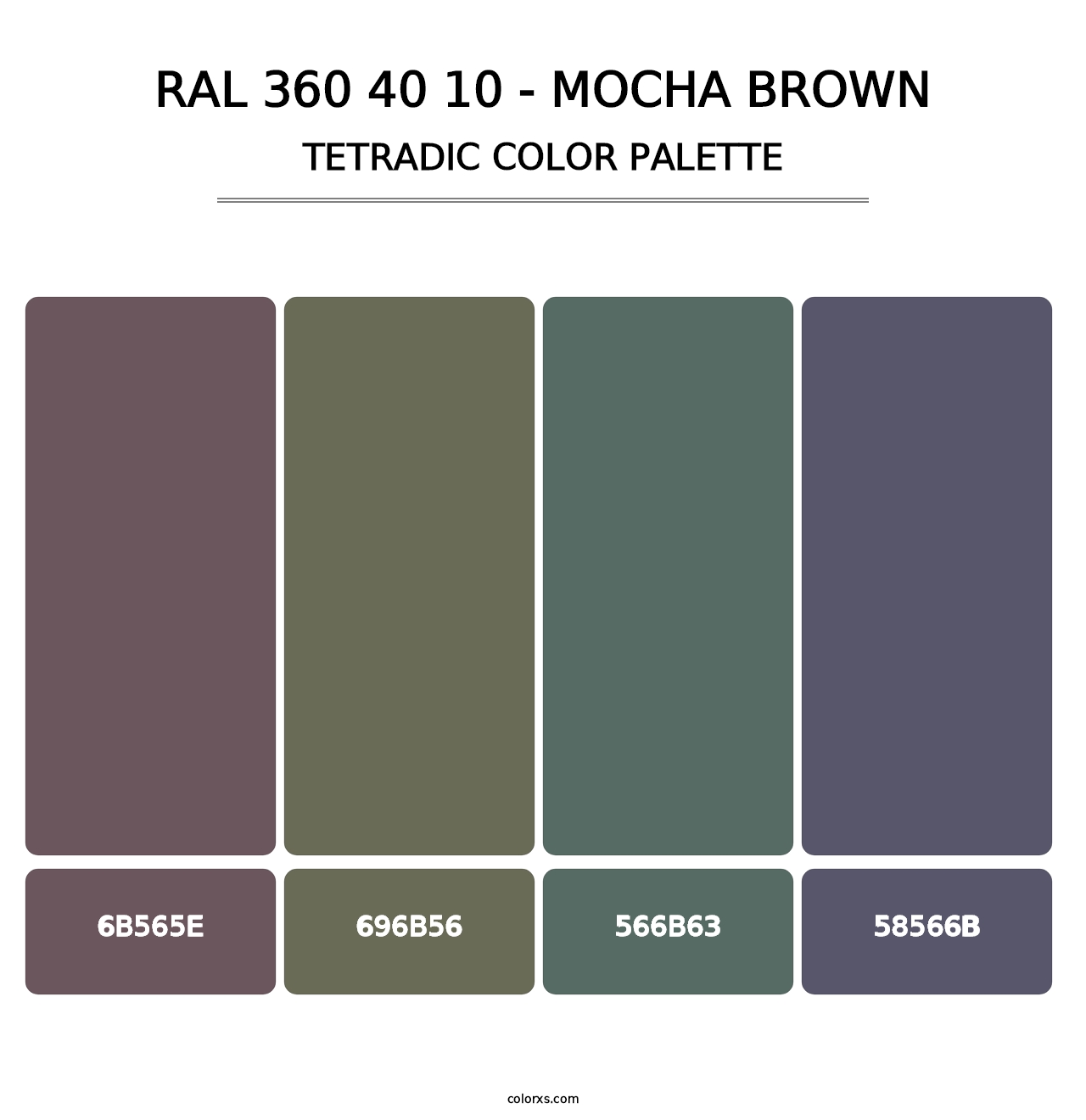RAL 360 40 10 - Mocha Brown - Tetradic Color Palette