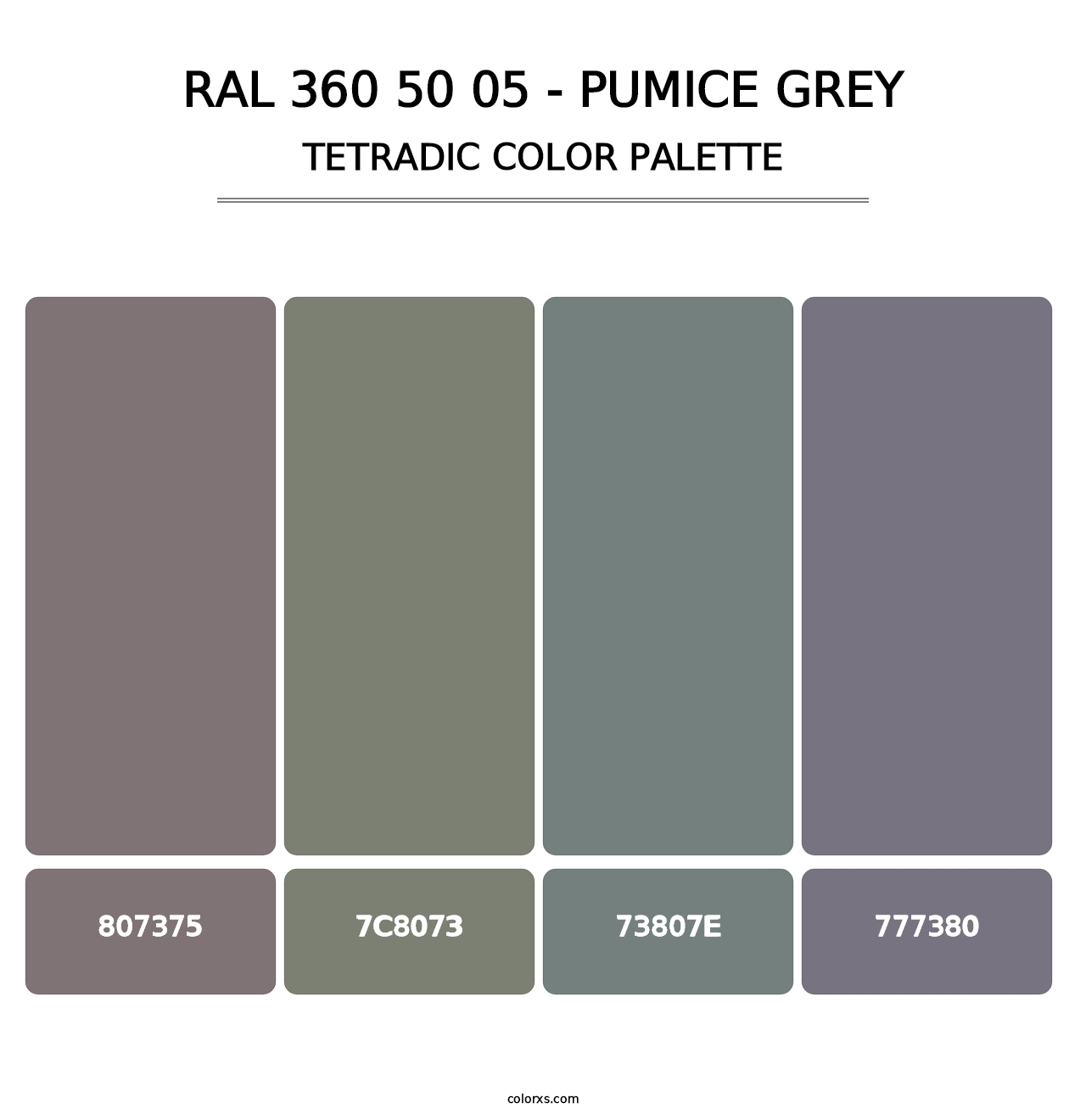 RAL 360 50 05 - Pumice Grey - Tetradic Color Palette