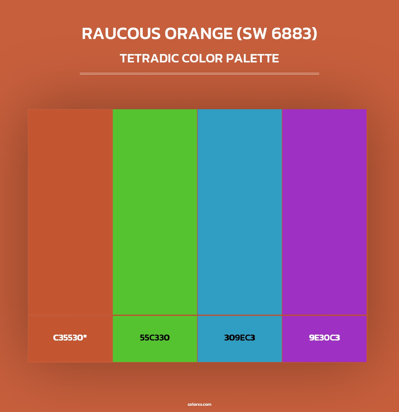 Raucous Orange (SW 6883) - Tetradic Color Palette