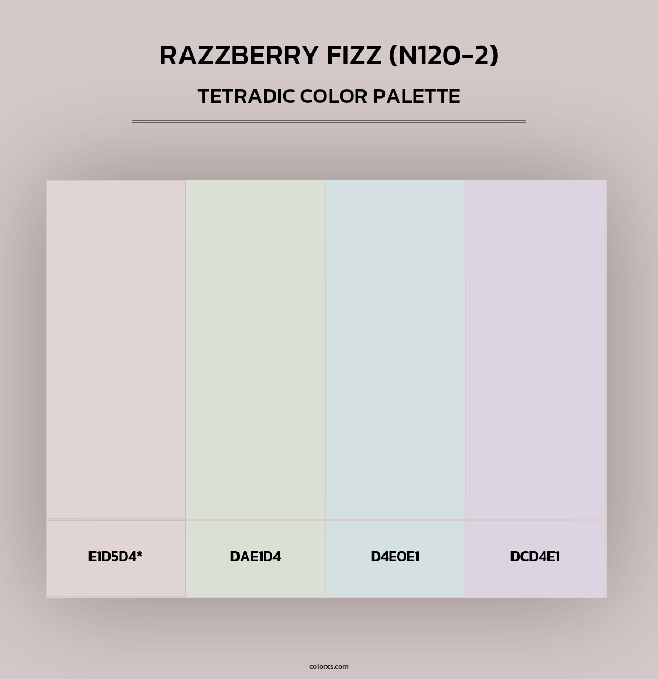 Razzberry Fizz (N120-2) - Tetradic Color Palette