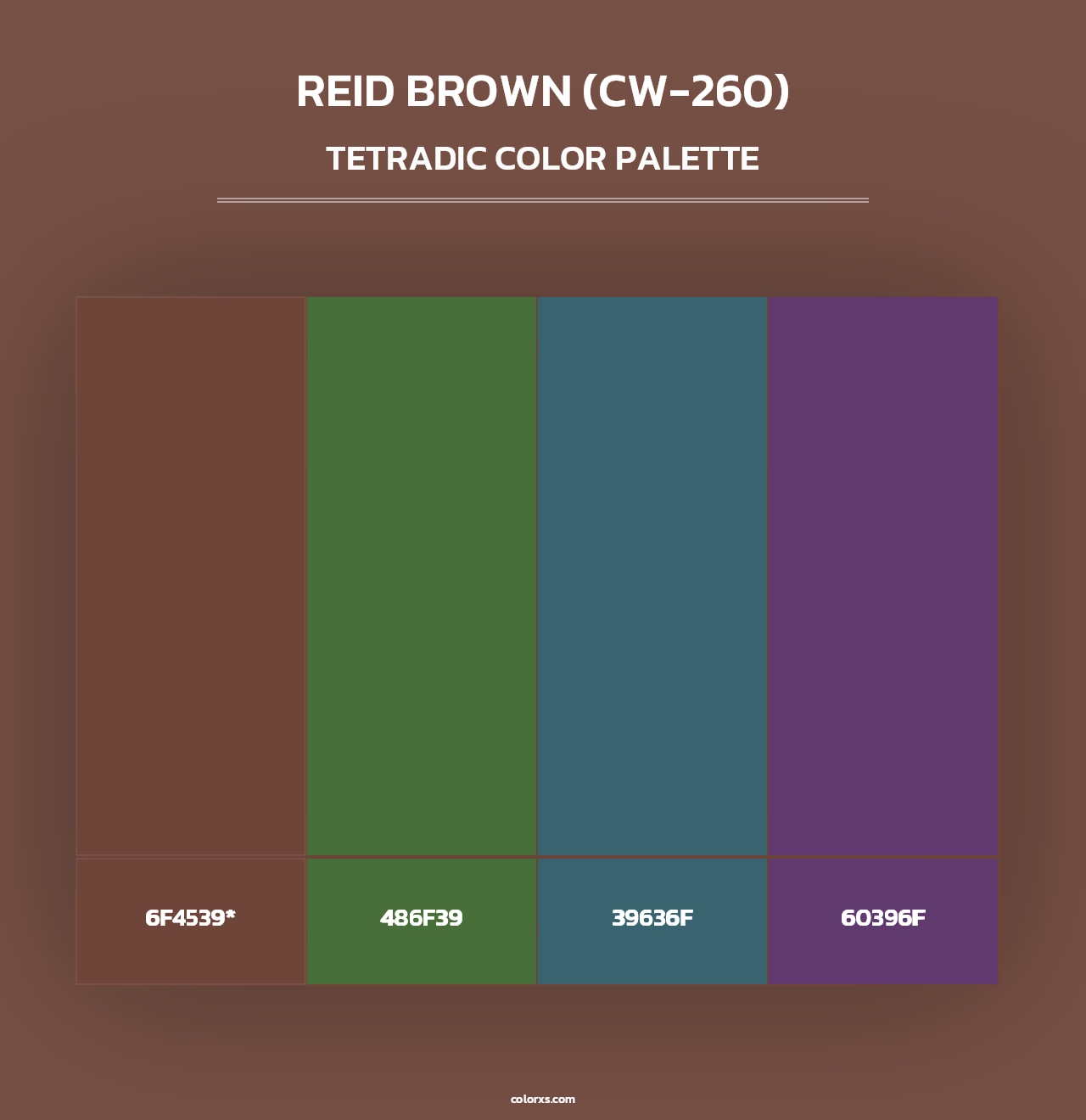 Reid Brown (CW-260) - Tetradic Color Palette