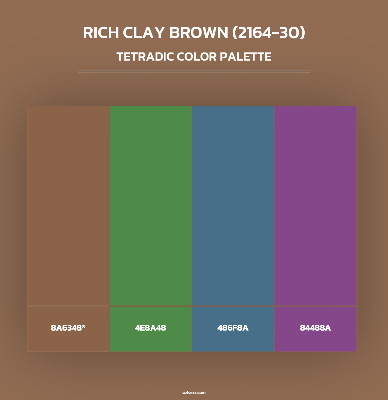 Rich Clay Brown (2164-30) - Tetradic Color Palette