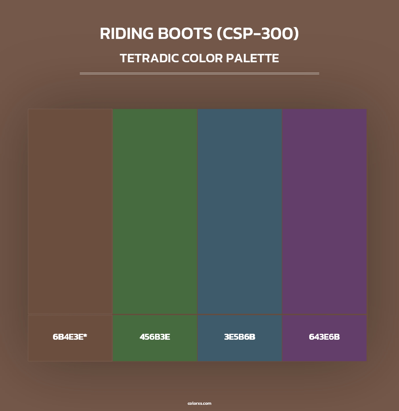 Riding Boots (CSP-300) - Tetradic Color Palette