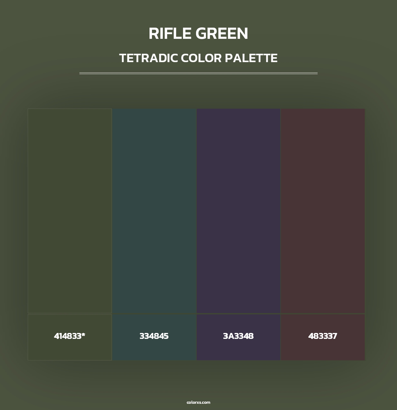 Rifle Green - Tetradic Color Palette
