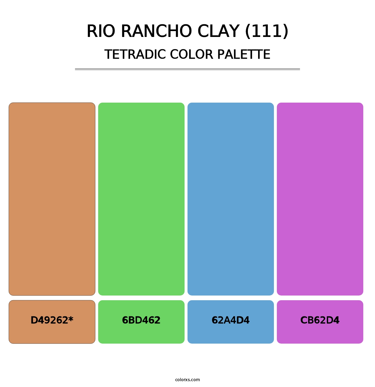Rio Rancho Clay (111) - Tetradic Color Palette