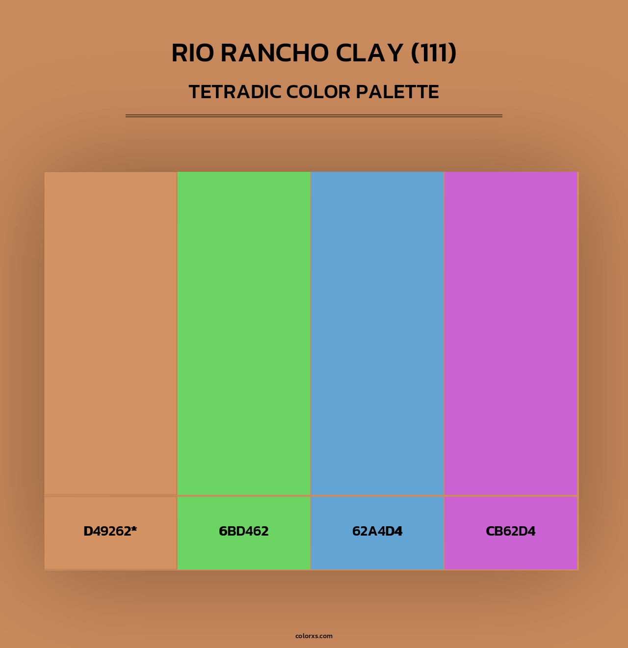 Rio Rancho Clay (111) - Tetradic Color Palette