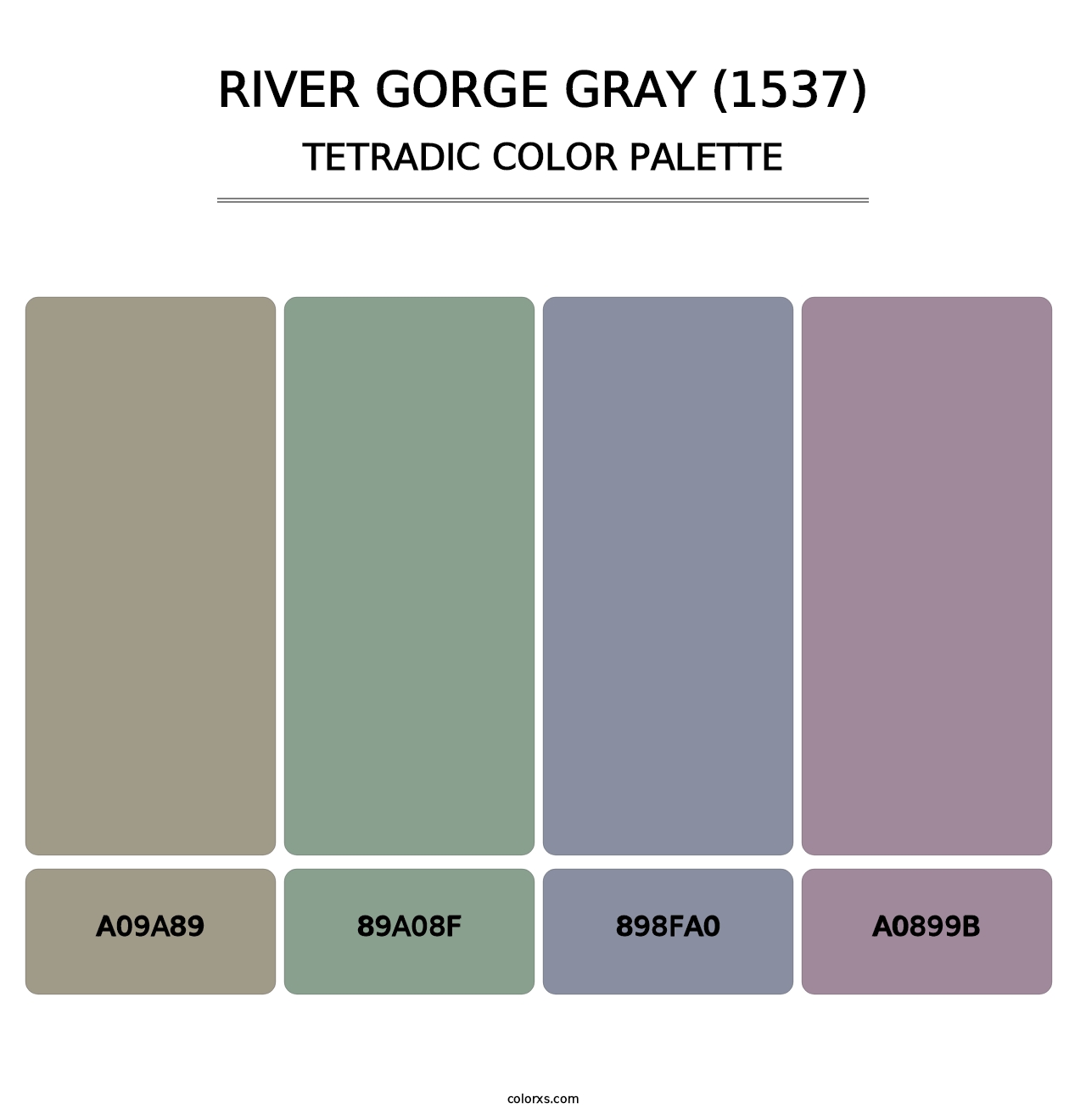 River Gorge Gray (1537) - Tetradic Color Palette