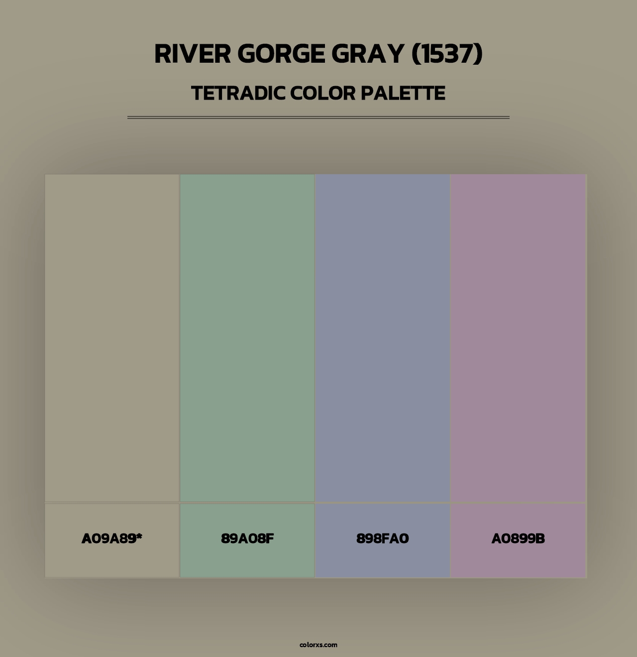 River Gorge Gray (1537) - Tetradic Color Palette