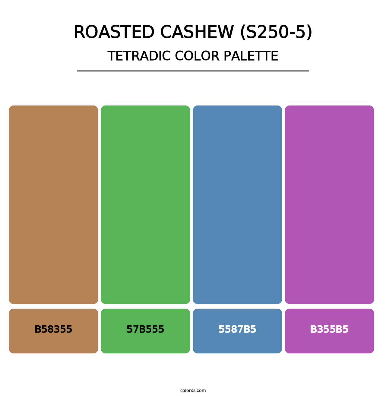 Roasted Cashew (S250-5) - Tetradic Color Palette