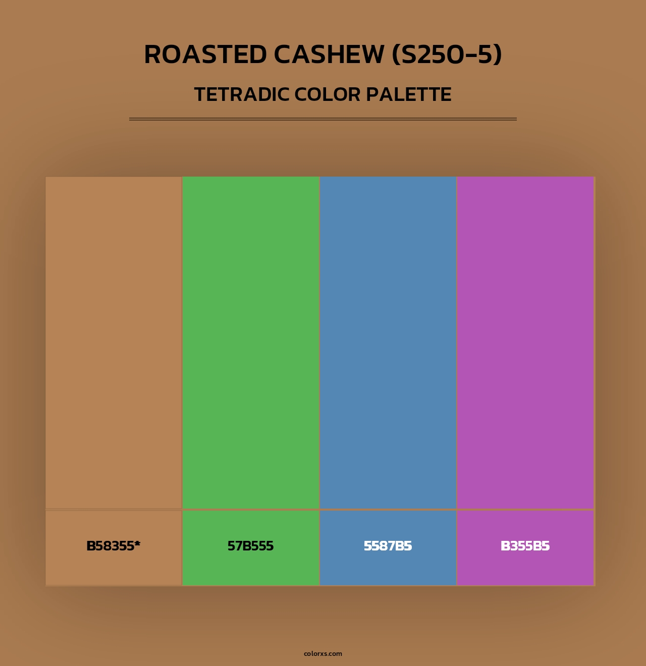 Roasted Cashew (S250-5) - Tetradic Color Palette