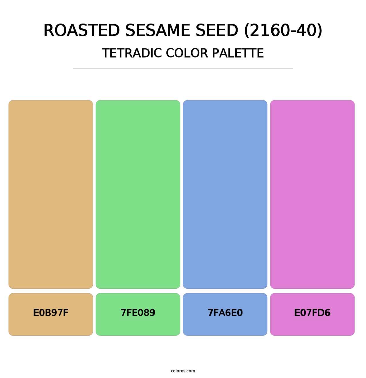 Roasted Sesame Seed (2160-40) - Tetradic Color Palette