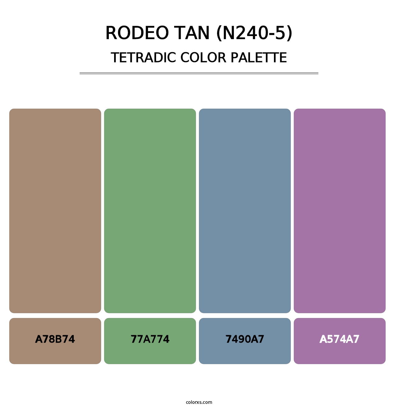 Rodeo Tan (N240-5) - Tetradic Color Palette