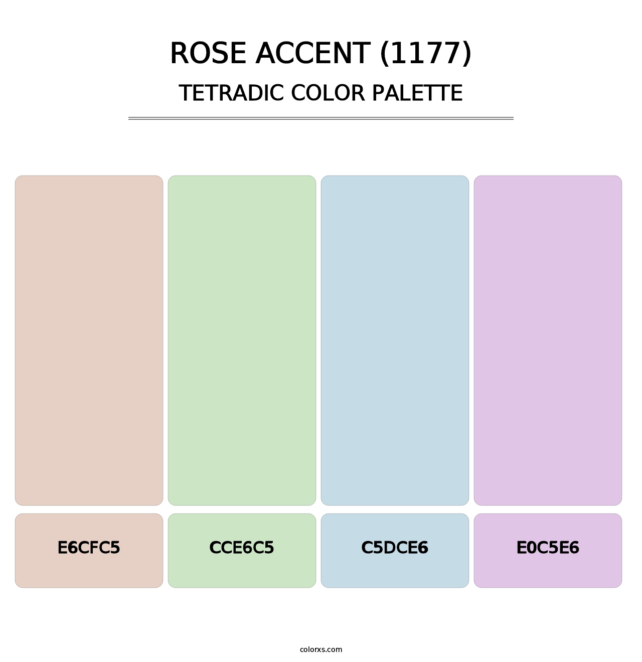 Rose Accent (1177) - Tetradic Color Palette