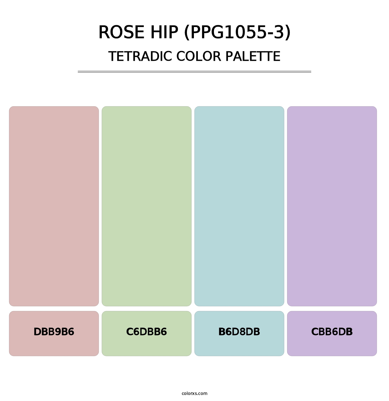Rose Hip (PPG1055-3) - Tetradic Color Palette