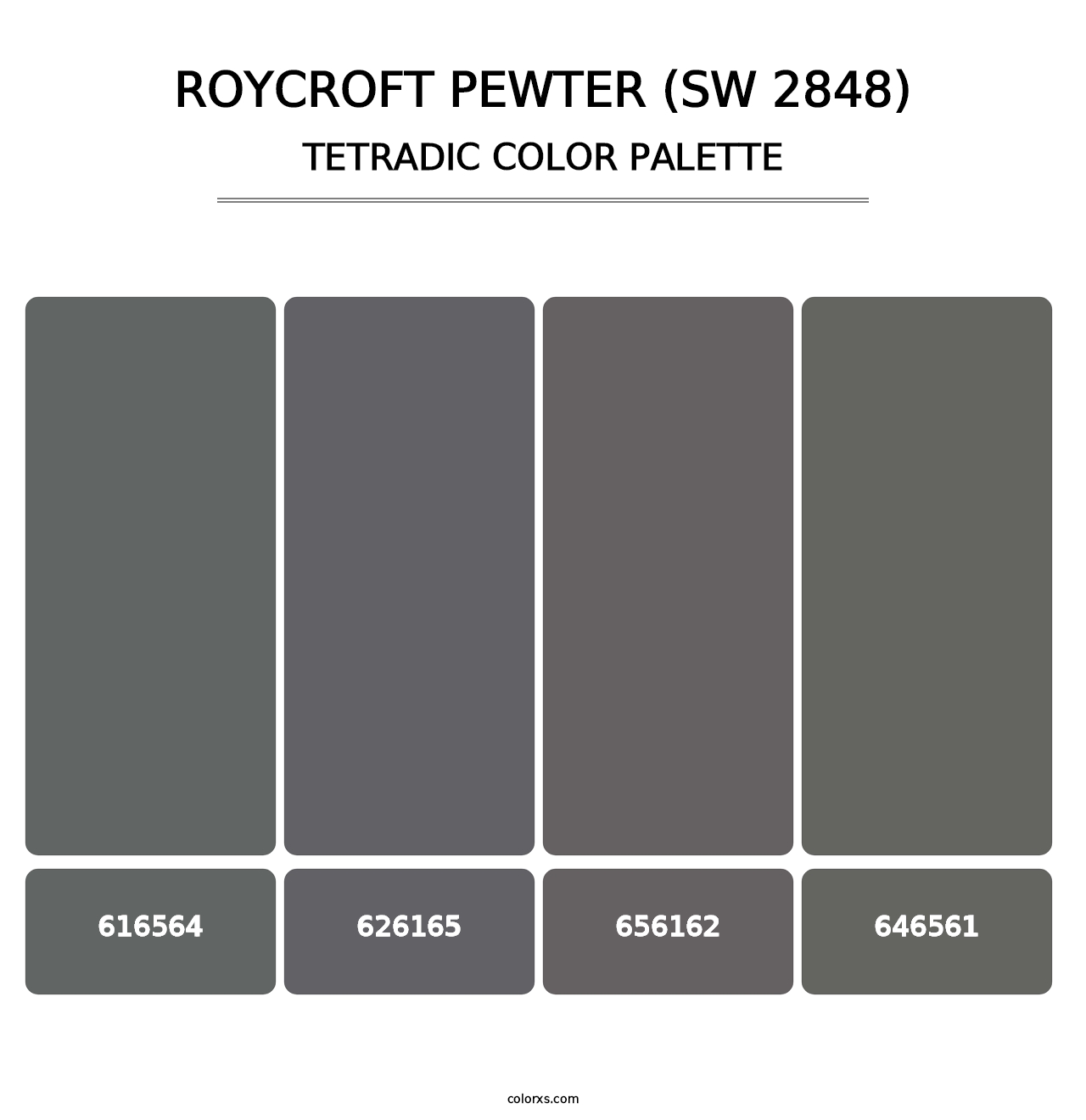 Roycroft Pewter (SW 2848) - Tetradic Color Palette
