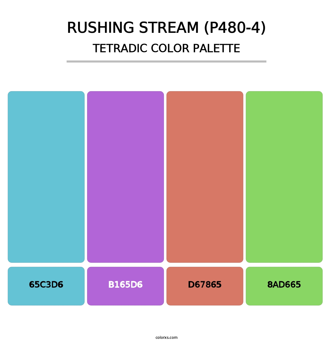 Rushing Stream (P480-4) - Tetradic Color Palette