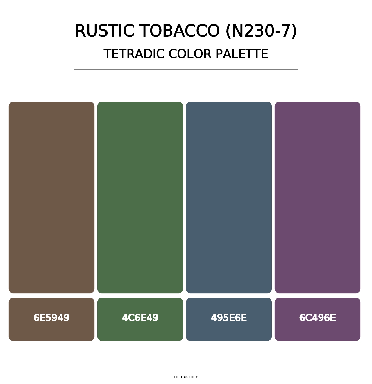 Rustic Tobacco (N230-7) - Tetradic Color Palette