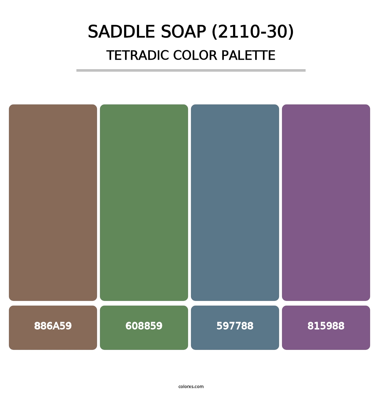 Saddle Soap (2110-30) - Tetradic Color Palette