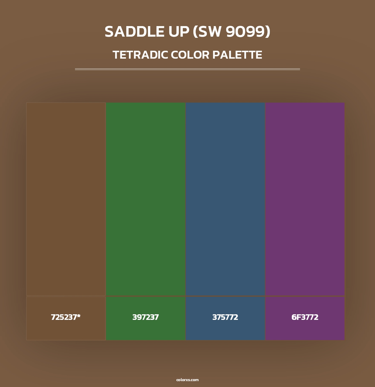 Saddle Up (SW 9099) - Tetradic Color Palette