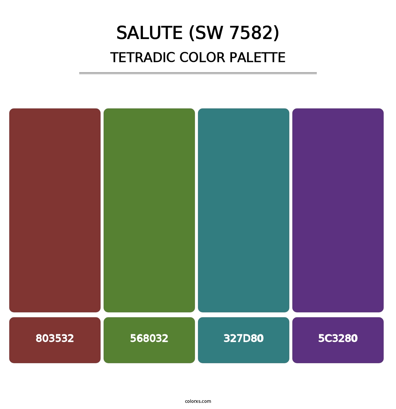Salute (SW 7582) - Tetradic Color Palette