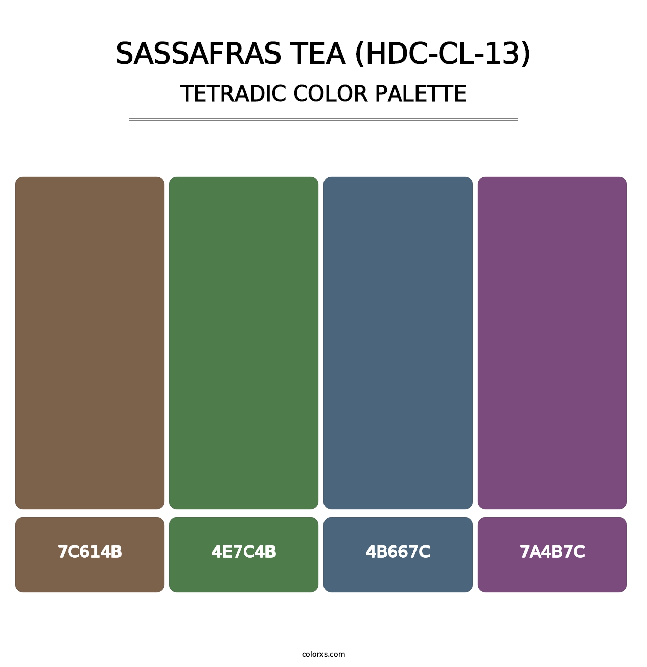 Sassafras Tea (HDC-CL-13) - Tetradic Color Palette