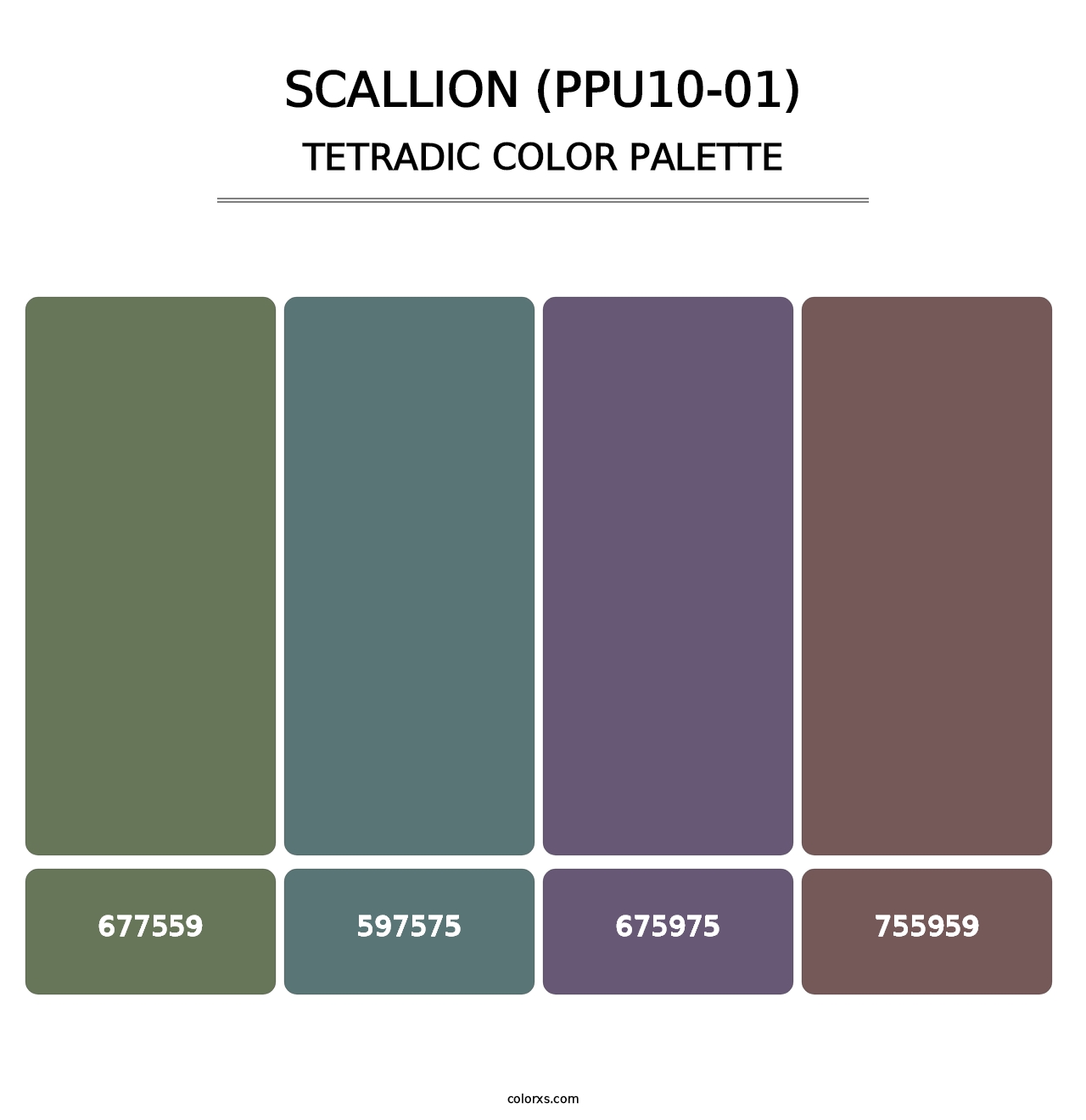 Scallion (PPU10-01) - Tetradic Color Palette