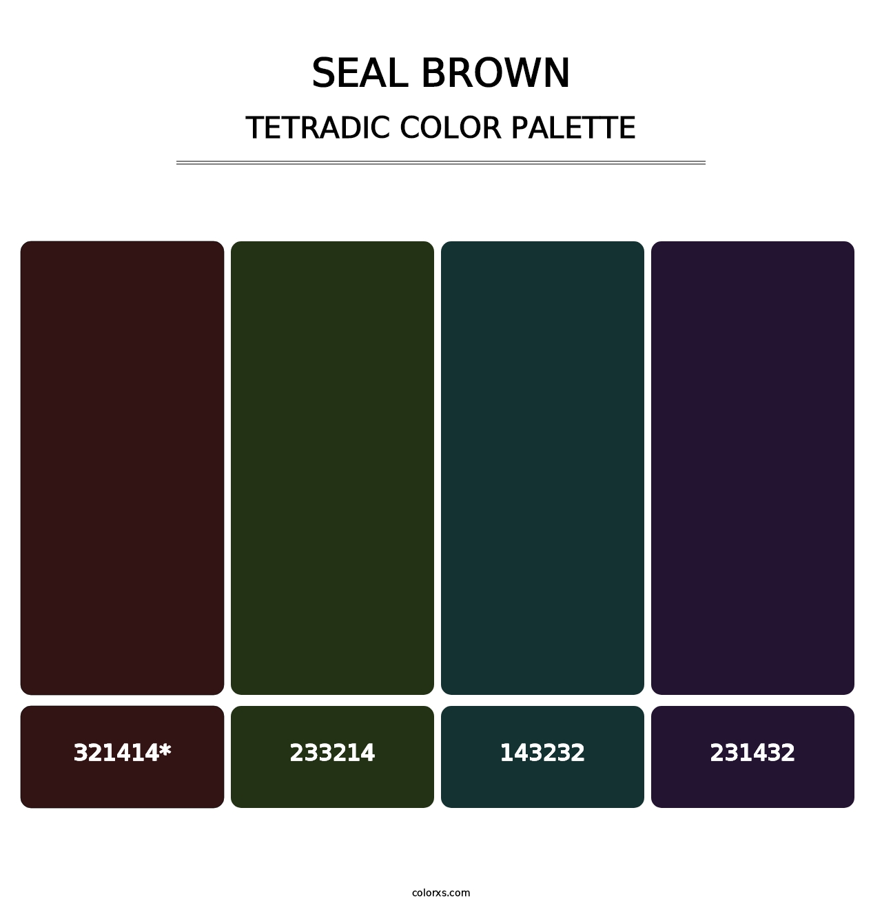 Seal brown - Tetradic Color Palette