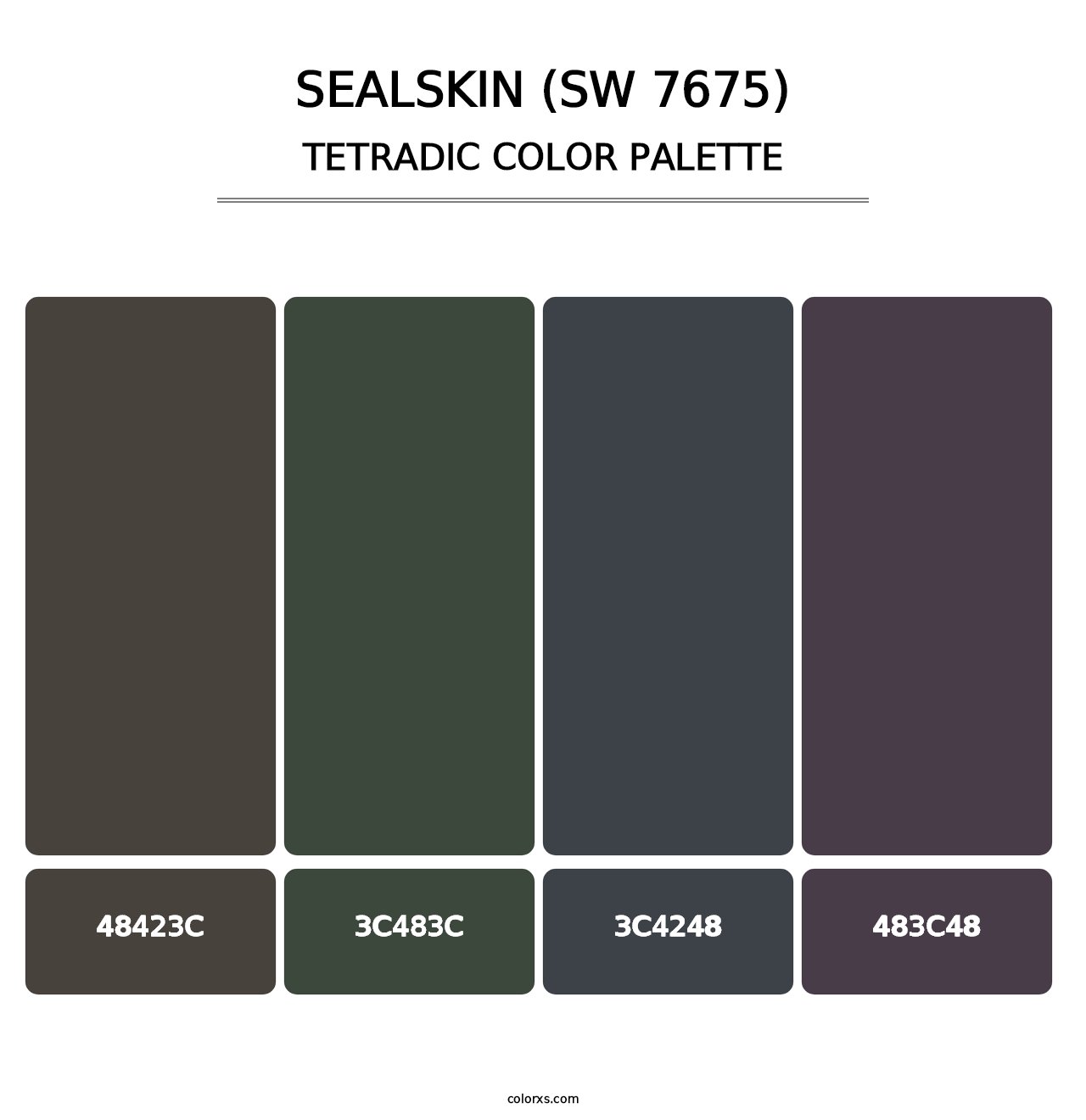Sealskin (SW 7675) - Tetradic Color Palette