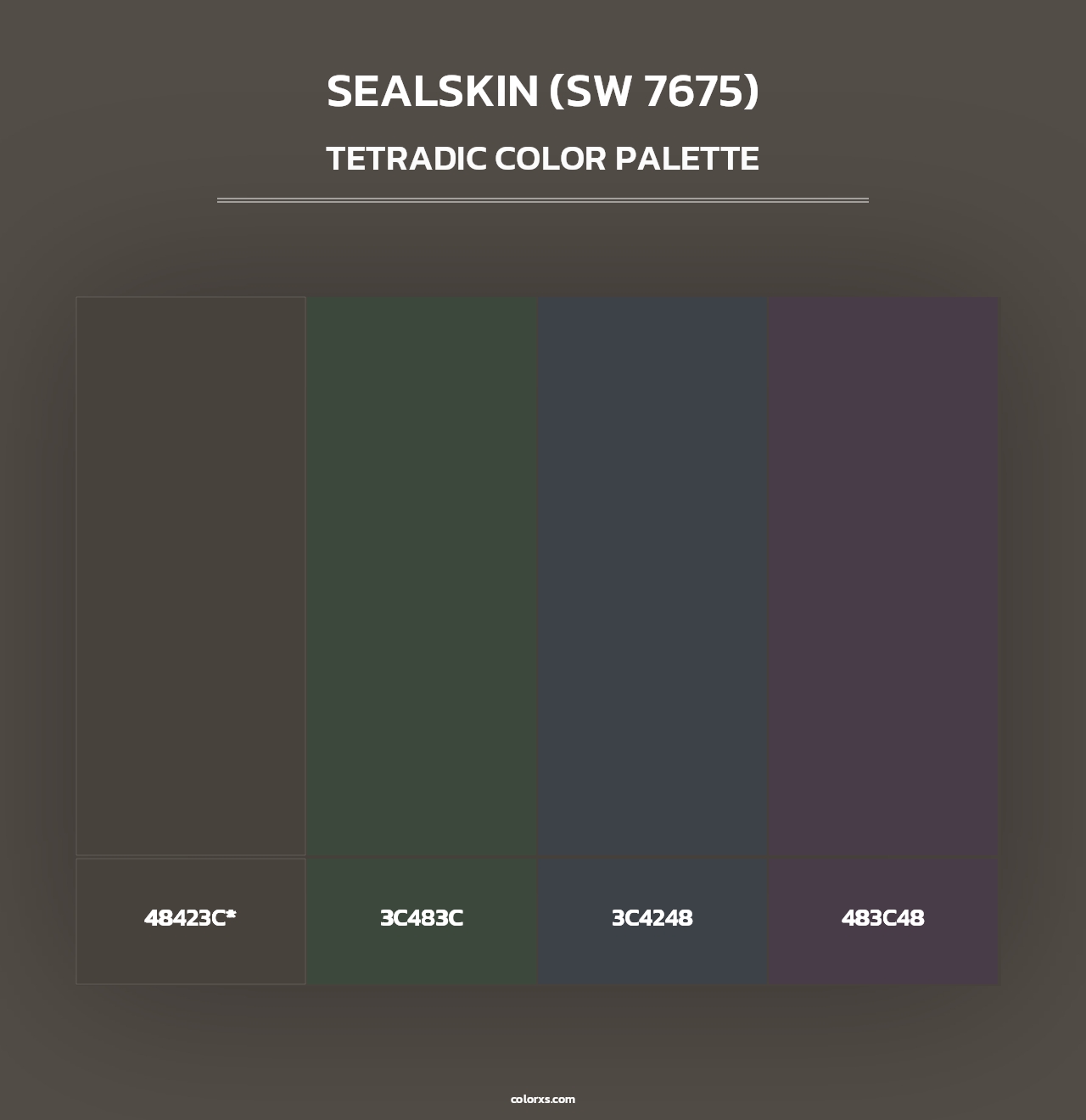 Sealskin (SW 7675) - Tetradic Color Palette