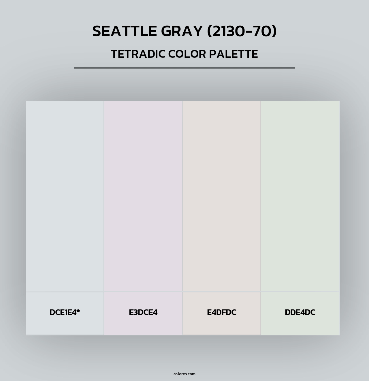 Seattle Gray (2130-70) - Tetradic Color Palette
