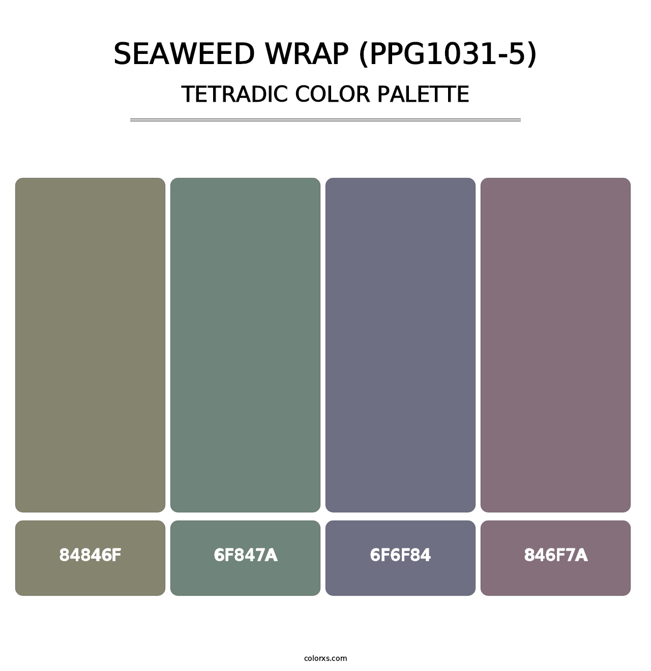 Seaweed Wrap (PPG1031-5) - Tetradic Color Palette