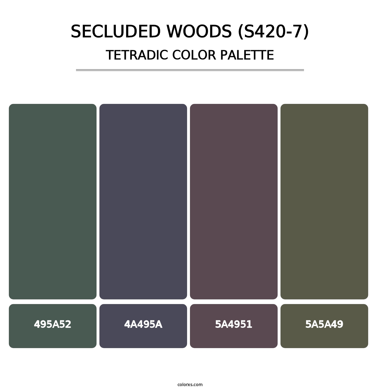 Secluded Woods (S420-7) - Tetradic Color Palette
