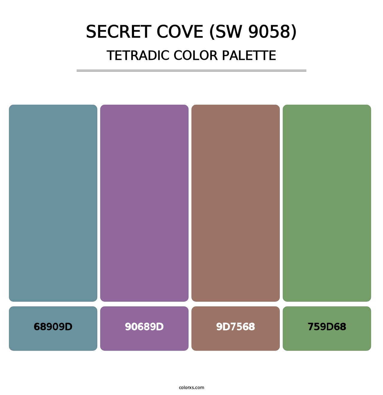 Secret Cove (SW 9058) - Tetradic Color Palette