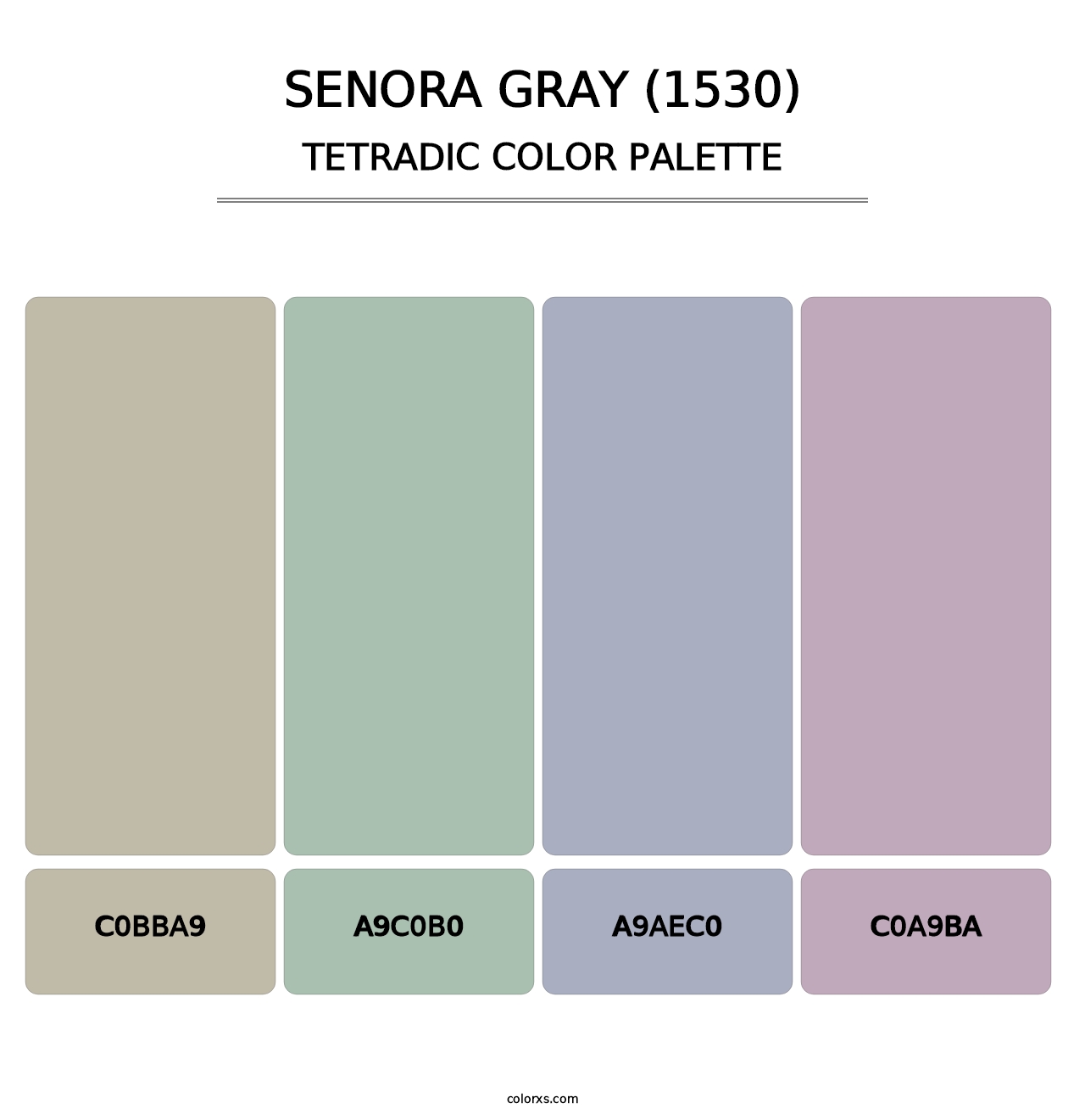 Senora Gray (1530) - Tetradic Color Palette