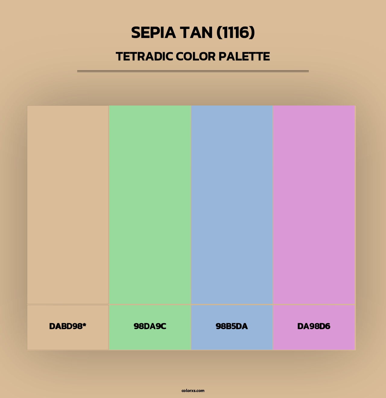 Sepia Tan (1116) - Tetradic Color Palette