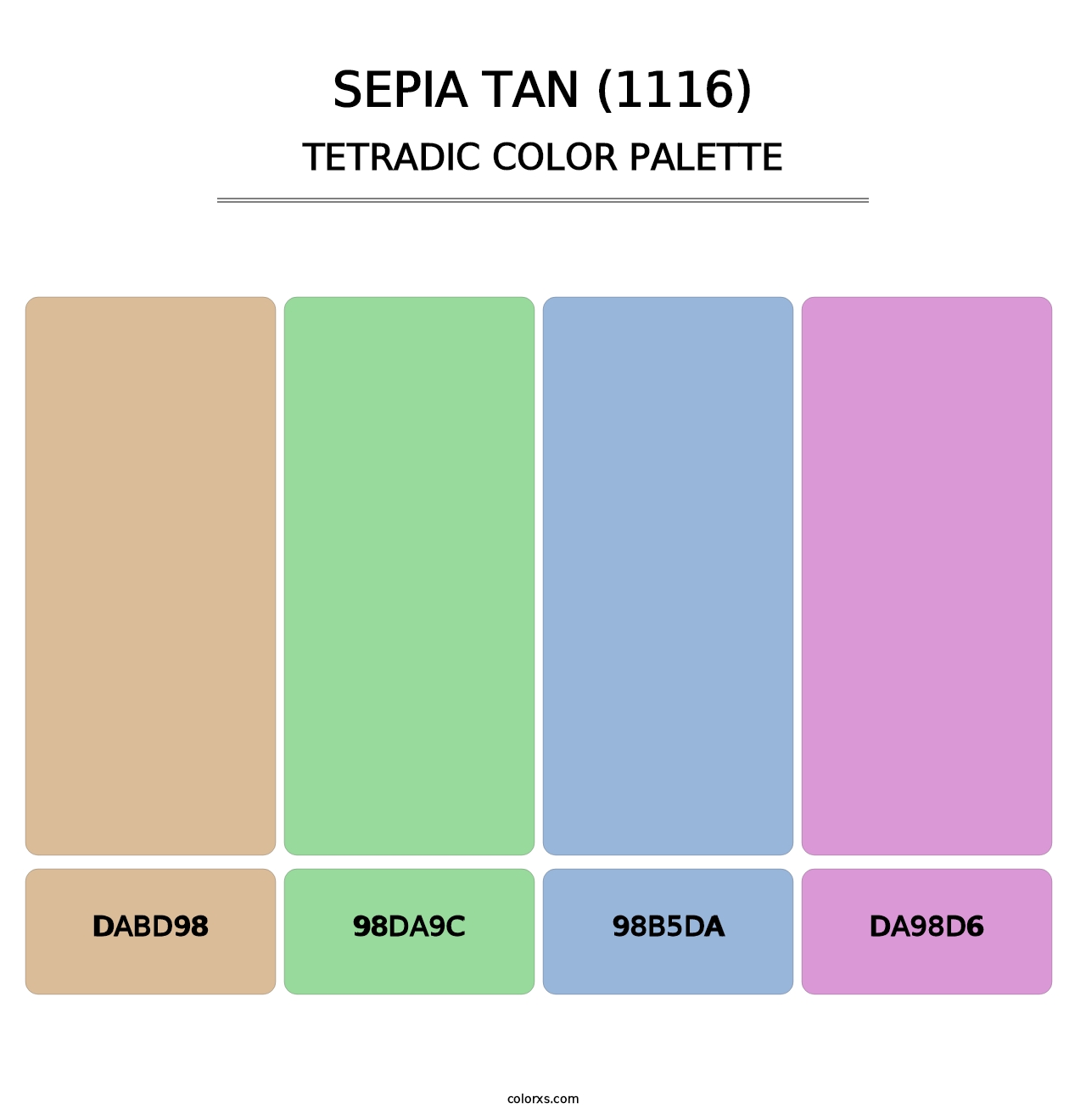 Sepia Tan (1116) - Tetradic Color Palette