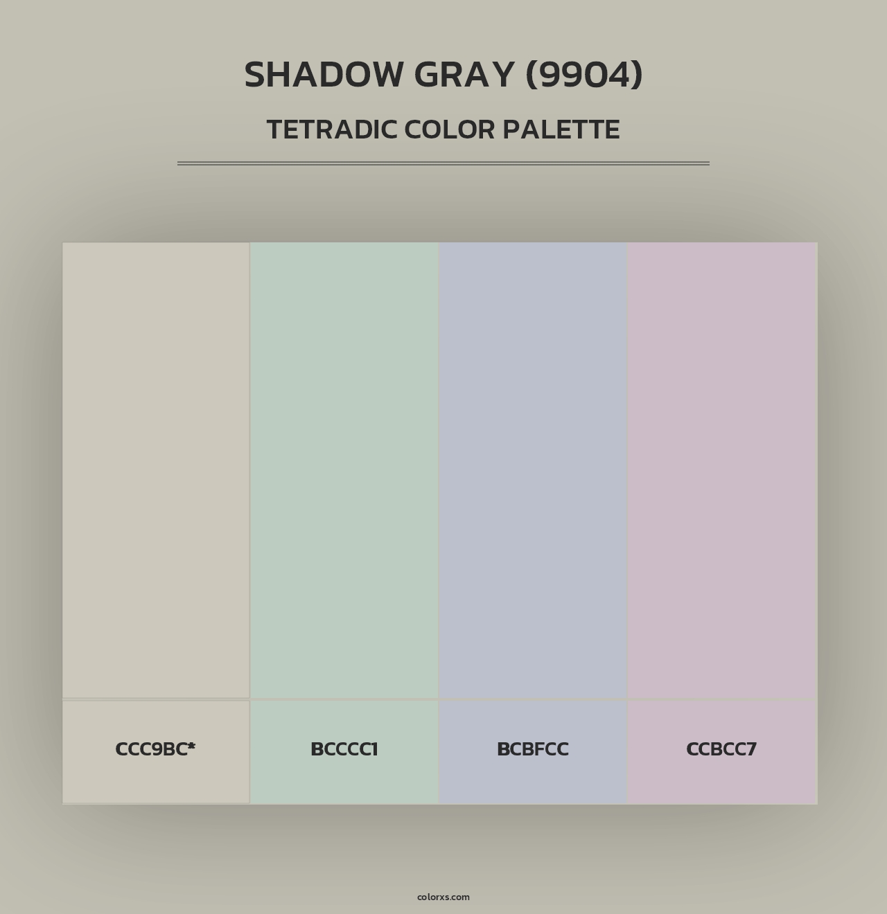 Shadow Gray (9904) - Tetradic Color Palette