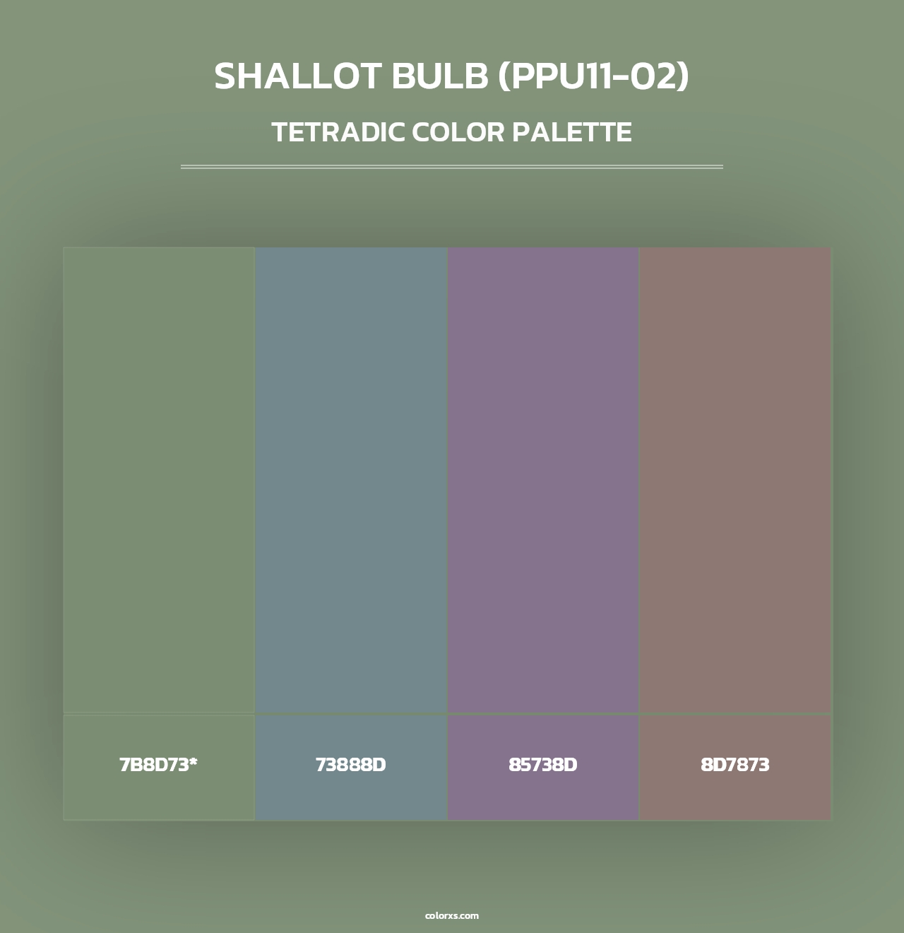 Shallot Bulb (PPU11-02) - Tetradic Color Palette