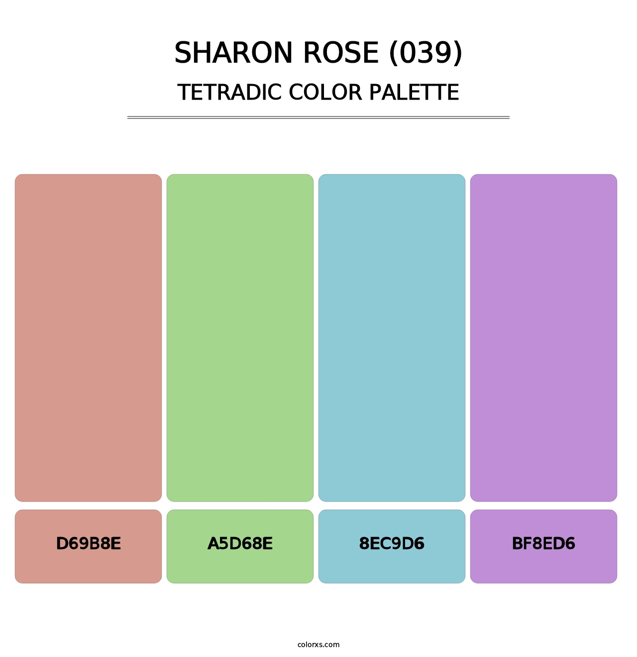 Sharon Rose (039) - Tetradic Color Palette